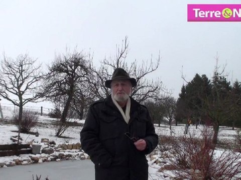 S’initier à la taille des arbres fruitiers