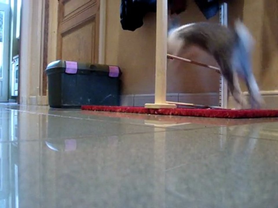 Obstacle de 10/15 cm et boîte.