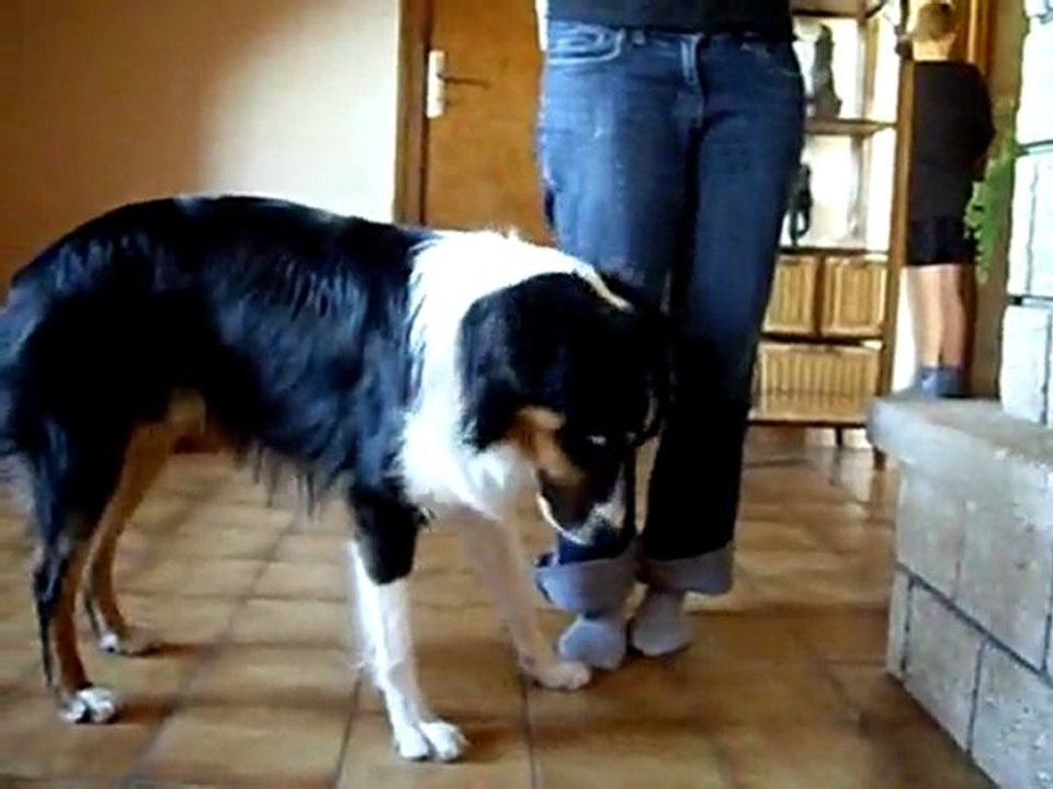 clicker sur cible (1)