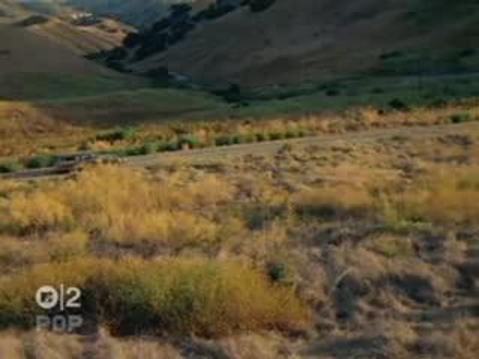 Music Sounds Better With You  Stardust