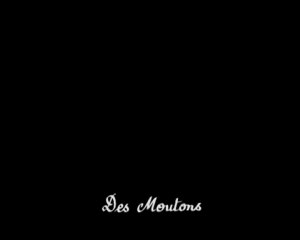 Yo Fables : " des moutons"