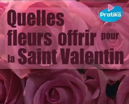 Quelles fleurs offrir pour la saint Valentin ?