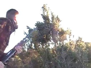 CHASSE A LA GRIVE PORTO VECCHIO