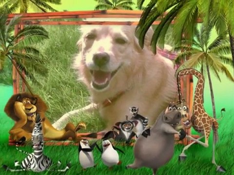 PhotoStory..BEN LOKUM