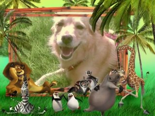 PhotoStory..BEN LOKUM