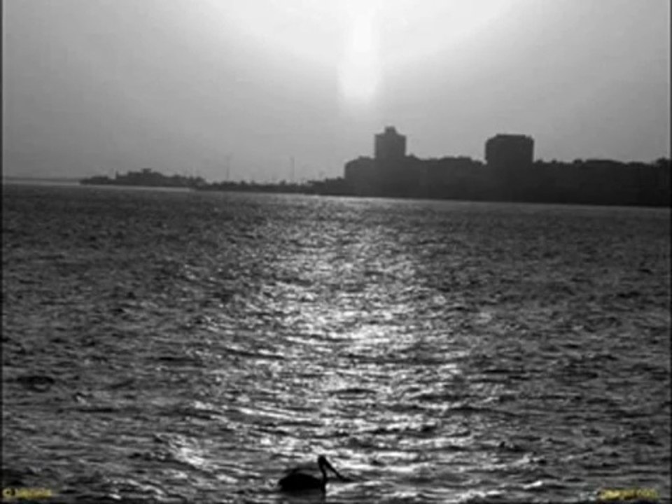 Vedat Şencan. Yorgun Yıllarım