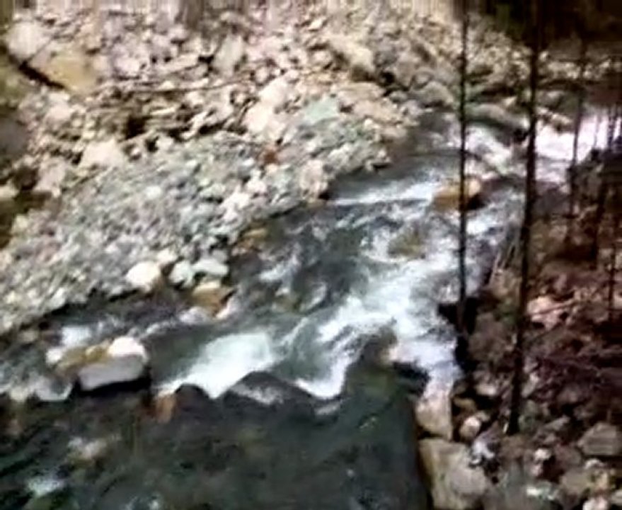 Ormancık Köprüsünden
