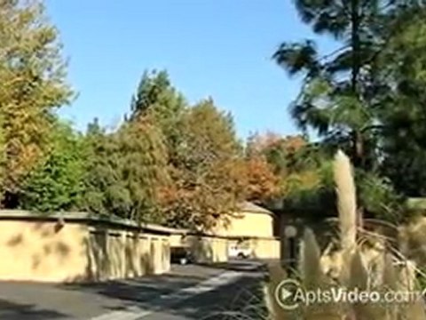 River Oaks Apartments in Lake Forest, CA - ForRent.com