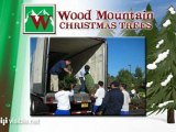 Wood Mountain Christmas Trees - Holiday Fundraising Program