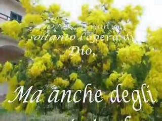 GRAZIE PERCHE' ... BUON 8 MARZO A TUTTE LE DONNE