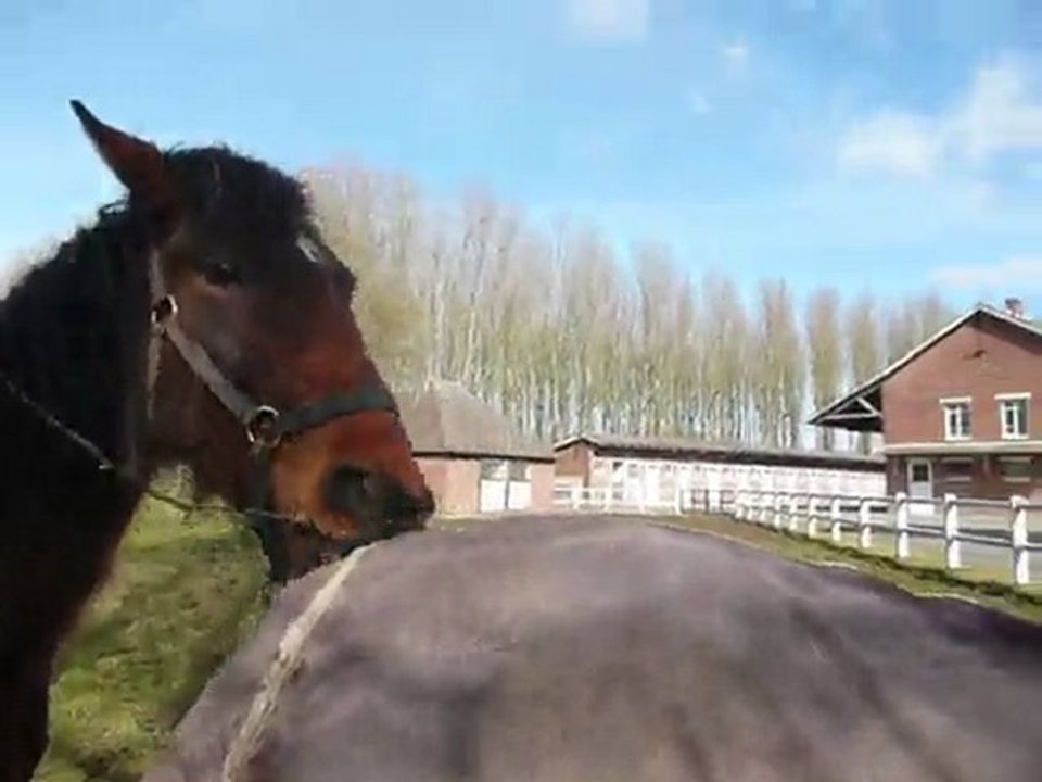 Richesse et la Branche !