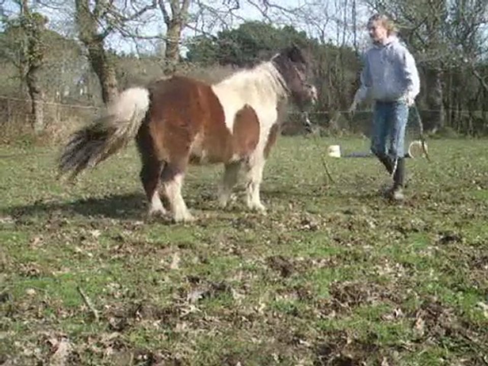 Février et Mars 2010