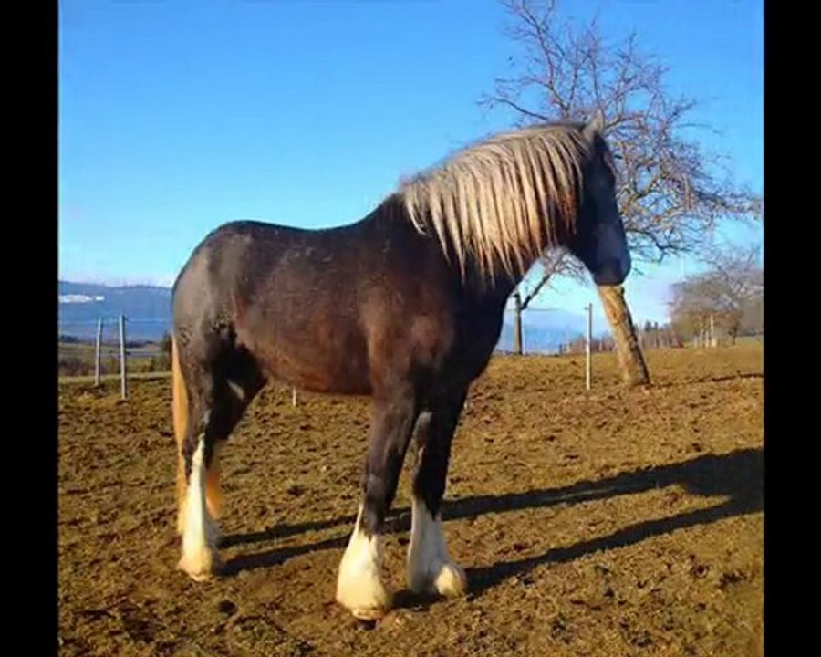 mardi 2 mars 2010 Ballade & soleil