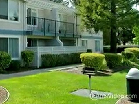 Clayton Creek Apartments in Concord, CA - ForRent.com