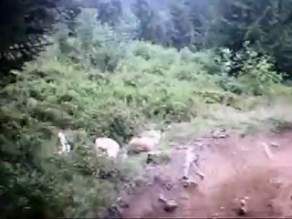 Saison 2009 Lac Blanc