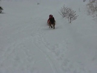 DISCO DES MONTAGNES 2