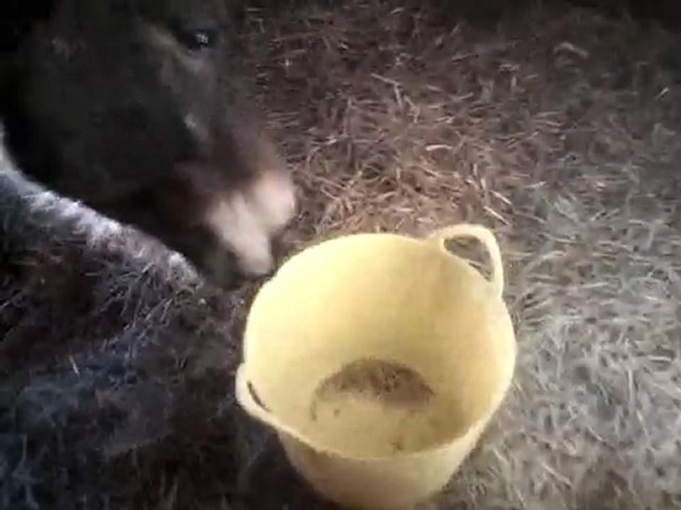 MOV00056