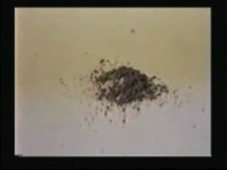 Hashemfilm, Antichrist Dajjal pt 246