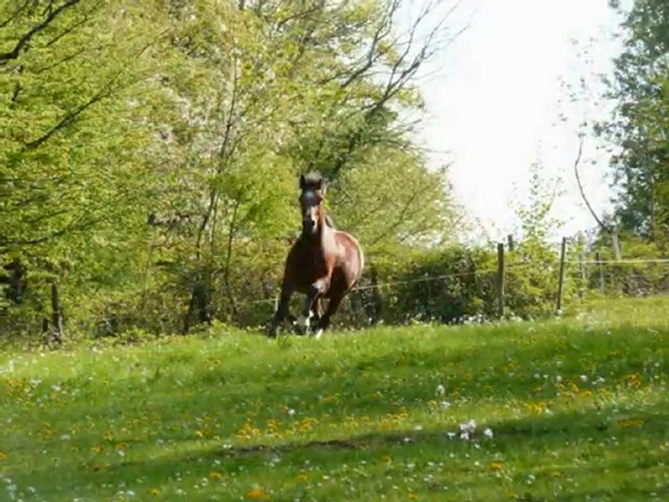 2 ans et demi à Champs-Bois