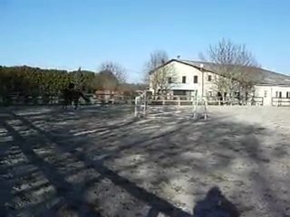 Séance saut 3 04/03/2010