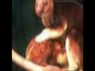 islam la mère à ne pas manquer