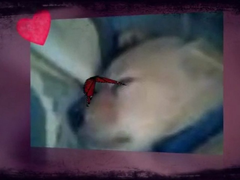 UNCONDITIONAL LOVE