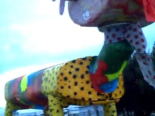 Strano animale meccanico ...