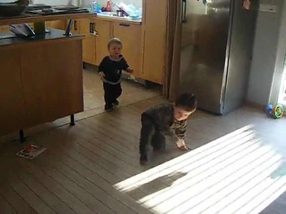 joue avec titi