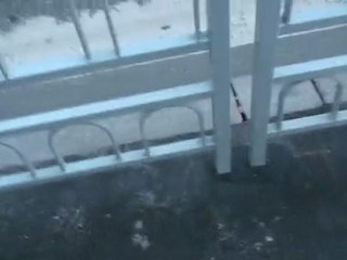 Passage Pieton de Merde