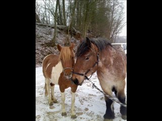 sam ardennais plein papier de 4 ans