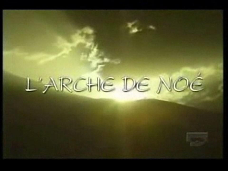 Arche de Noe partie 1/3