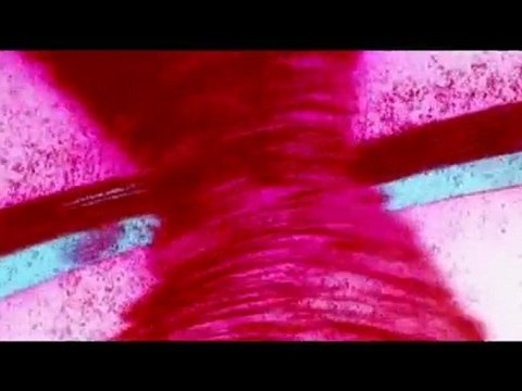 Tsubasa Reservoir Chronicle- les sentiment de Shaolan