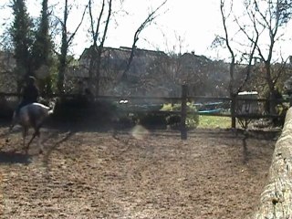 Maltosa 04.03.10 trot et pas pour YT