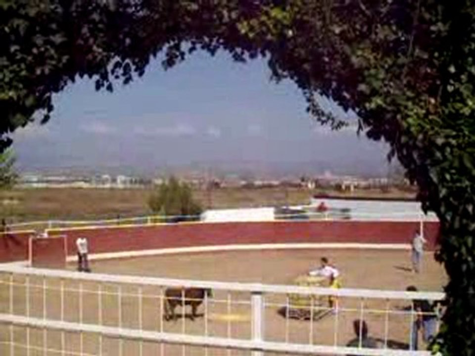 Capeas en logroño (despedidas de solteros)  Rioja