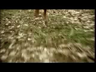 Axe : Spray More, Get More