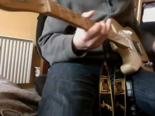 beach house - zebra cover guitar