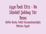 Ayşe İnak Ekiz-Ne Sümbül Şebboy Yar Bana