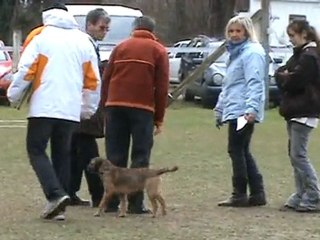 Coeur de Lion en obe Classe 1 : 7 fev 2010 à Rochemaure