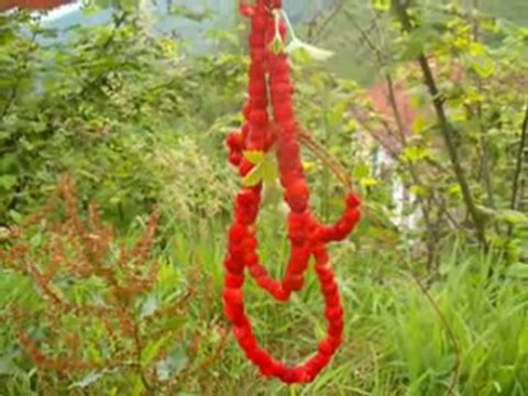 Arsin Fındıklı köyü 2