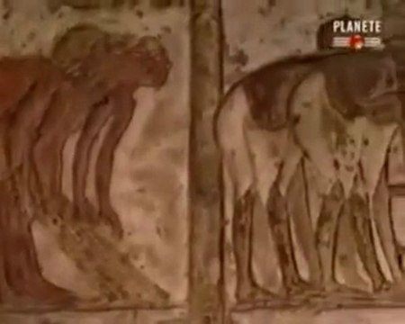 Apocalypsis 11 - 3ème Révélation Les 24 VIEILLARDS