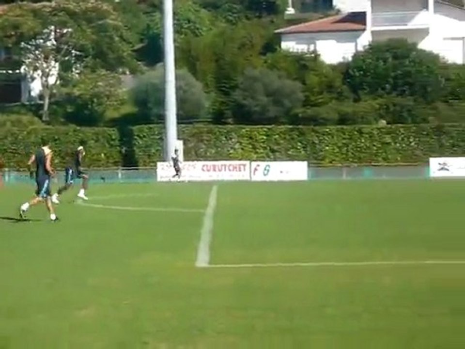 Hatem Ben Arfa en reprise de volé