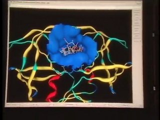 Common Vision Productions Reel