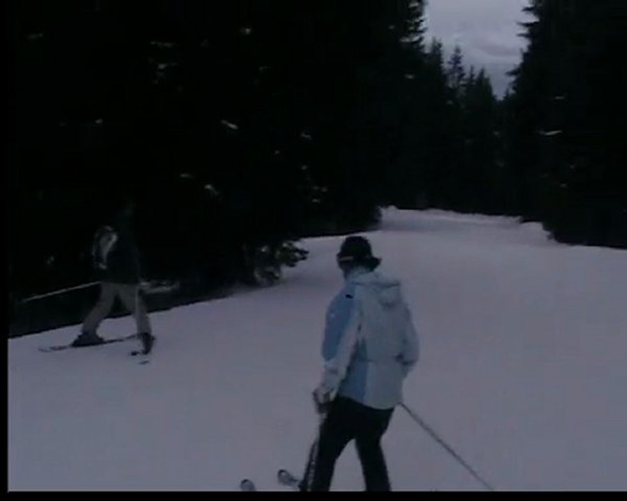 ski