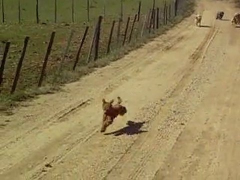 BALLADE DES PREMIERS JOURS DE MARS 2010