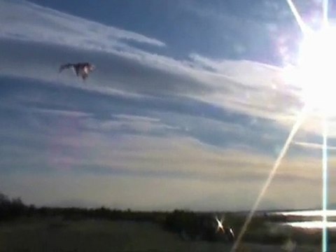 nouvelle aile cdkite essai 1 Aile auto-zénith ou auto-stable