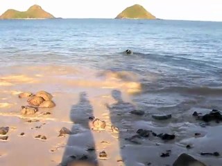 Beach Walk 752 – Random Lexi Dogg