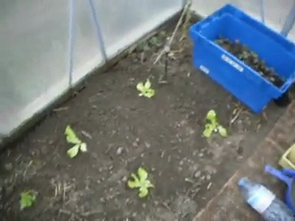 vidéo de la serre