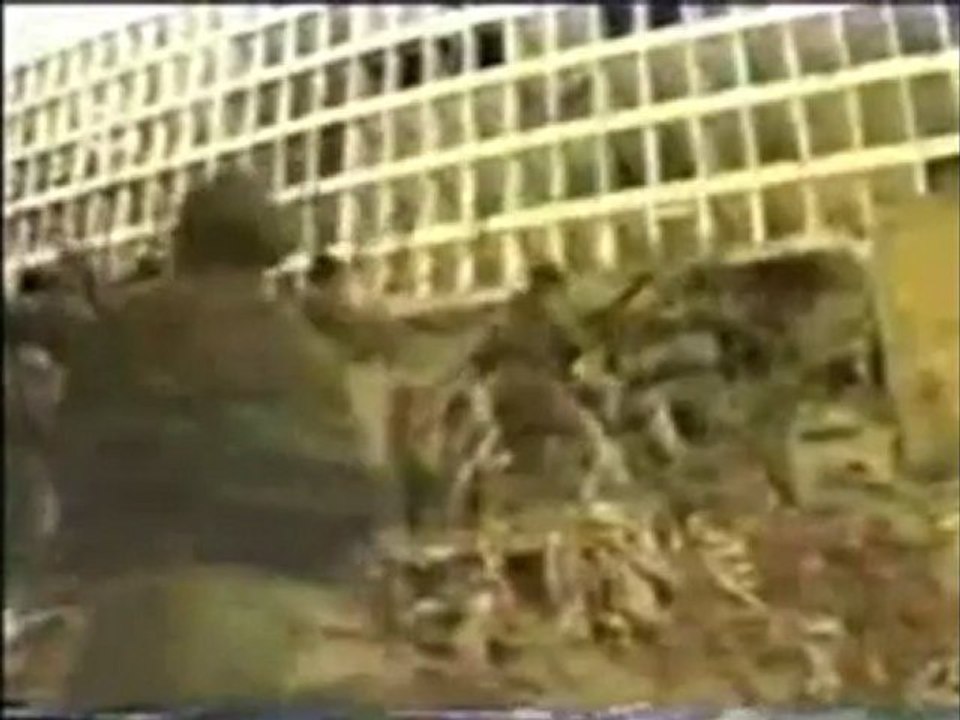 Lebanese Forces Sadem