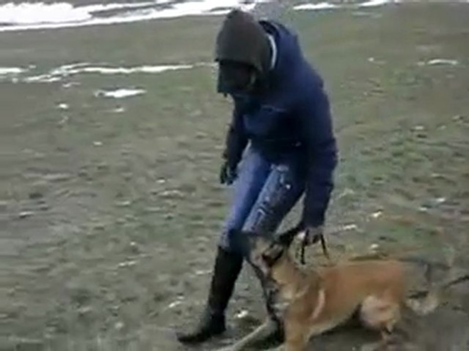 Британи-9м.