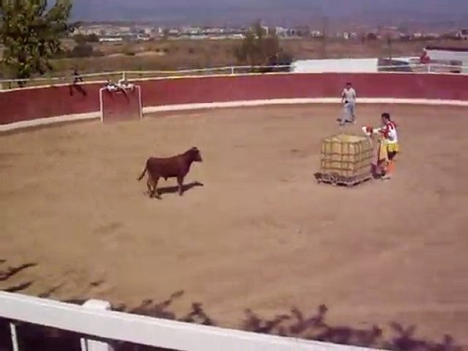 Capeas toros. Despedidas solteros Logroño La Rioja